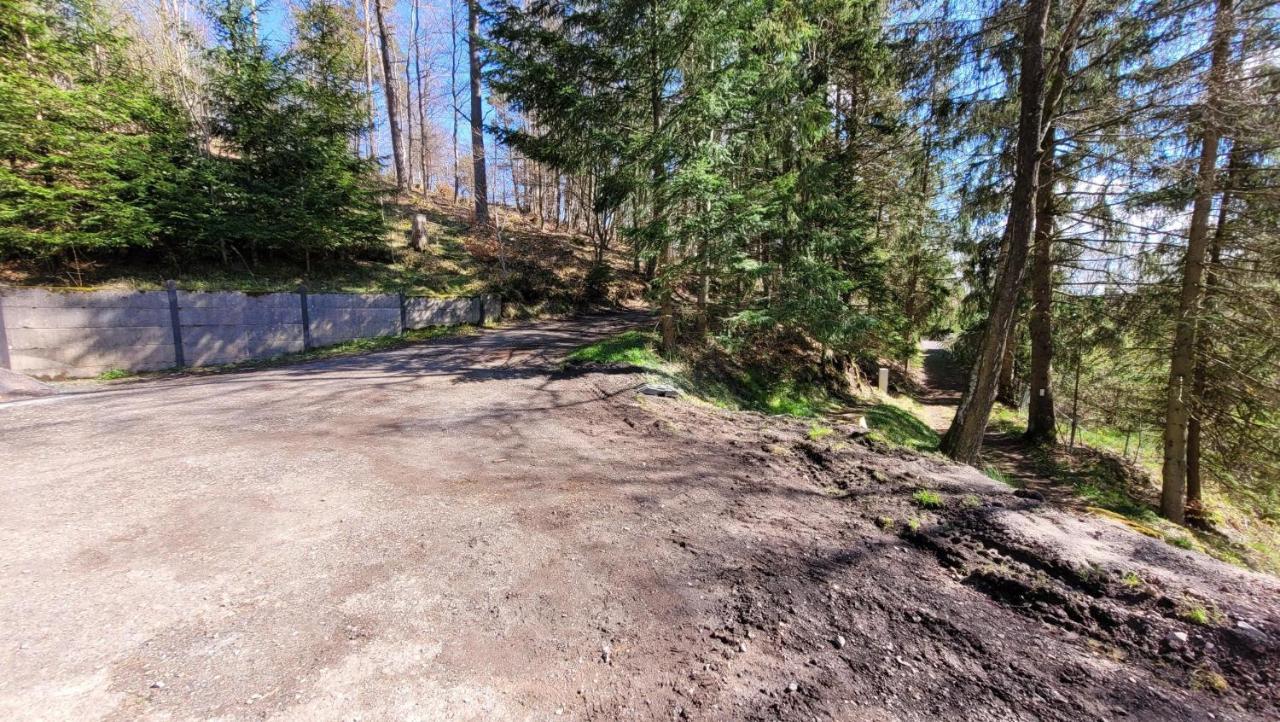 Waldpension Am Koepfchen Kurort Steinbach-Hallenberg Extérieur photo